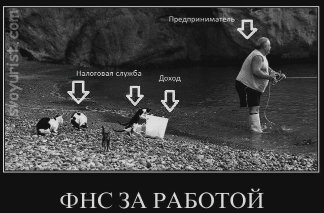 Как войти в личный кабинет налогоплательщика